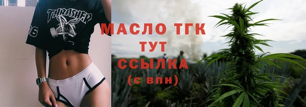 твердый Мегион