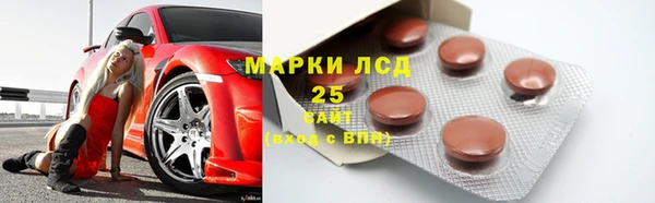 твердый Мегион