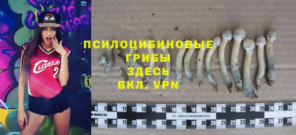 герыч Медногорск