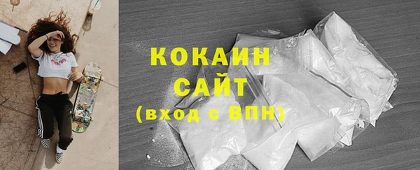твердый Мегион